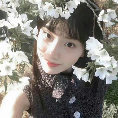 血缘寻亲